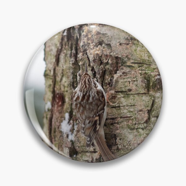 Item preview, Camo 4 Eurasian treecreeper designed and sold by Jouko Lehto Photography.