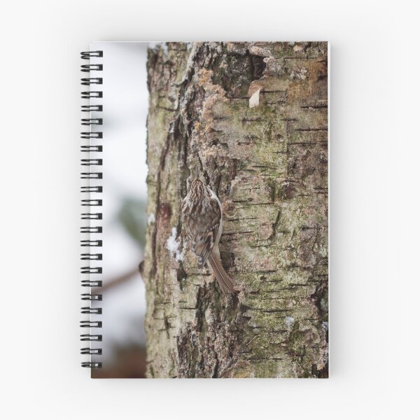 Item preview, Camo 4 Eurasian treecreeper designed and sold by Jouko Lehto Photography.
