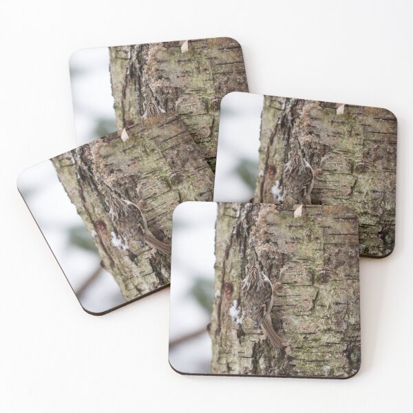 Item preview, Camo 4 Eurasian treecreeper designed and sold by Jouko Lehto Photography.
