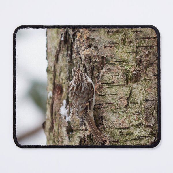 Item preview, Camo 4 Eurasian treecreeper designed and sold by Jouko Lehto Photography.