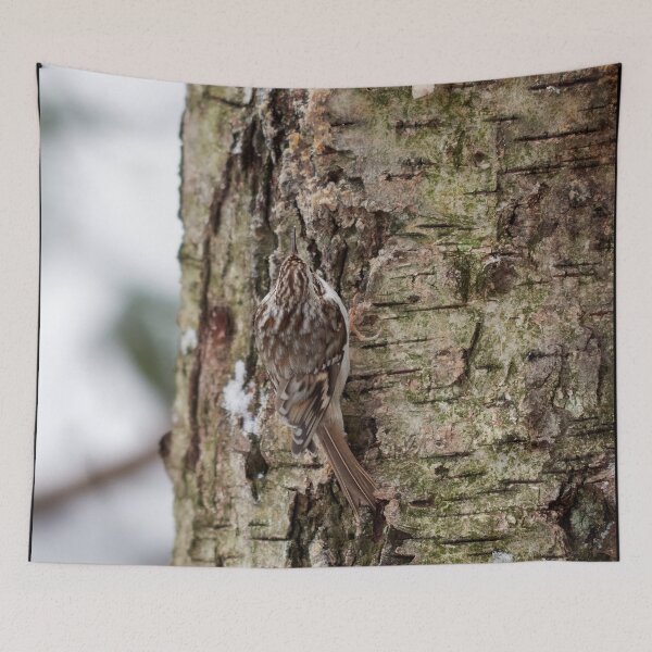 Item preview, Camo 4 Eurasian treecreeper designed and sold by Jouko Lehto Photography.