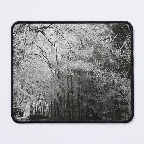 Item preview, Frosty woodland path photograph  designed and sold by esvb.