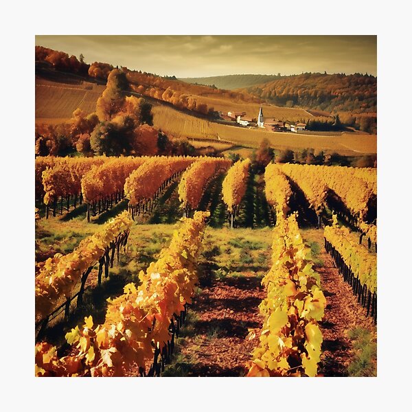 Item preview, vineyard landscape designed and sold by melissabeta.