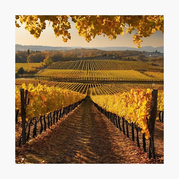 Item preview, vintage vineyard landscape designed and sold by melissabeta.