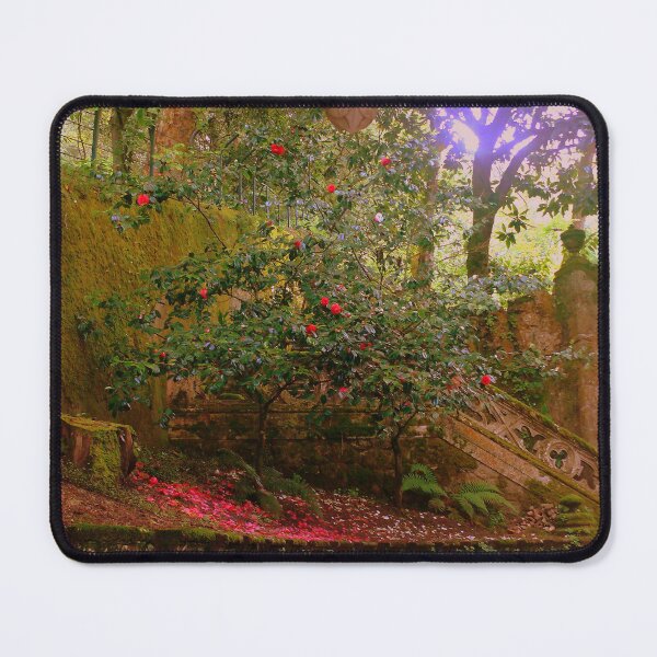 Item preview, Quinta da Regaleira....light and shadows...to be discovered designed and sold by Tereza Pilar Art.