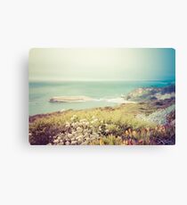 Pacific Coast California Canvas Print