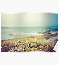 Pacific Coast California Poster