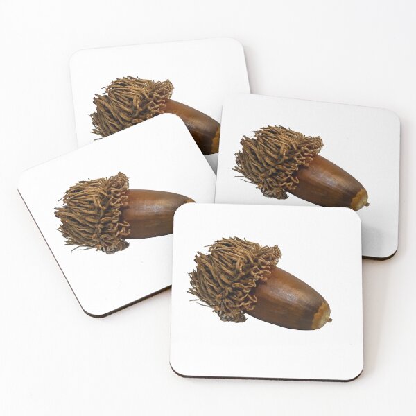 Item preview, Acorn seed in the shell designed and sold by urzga.