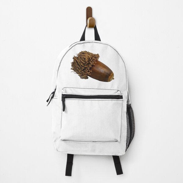 Item preview, Acorn seed in the shell designed and sold by urzga.