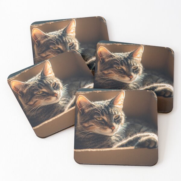 Item preview, Cat relaxing comfortably in box designed and sold by anytka.
