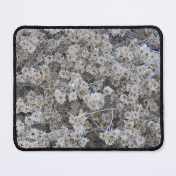 Item preview, Daisies carpet designed and sold by agnessa38.