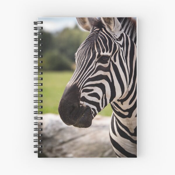 Item preview, Zebra Profile designed and sold by Split2ndPhotos.