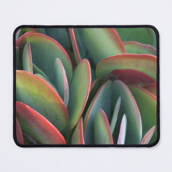 Item preview, Cactus beauty designed and sold by agnessa38.