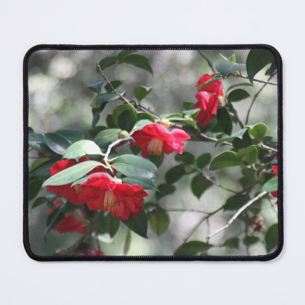 Item preview, Camelia designed and sold by agnessa38.