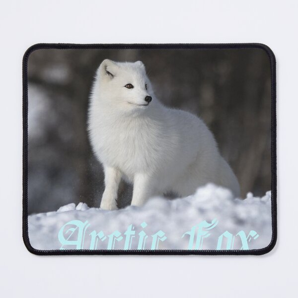Item preview, Arctic fox designed and sold by LotusStudio.
