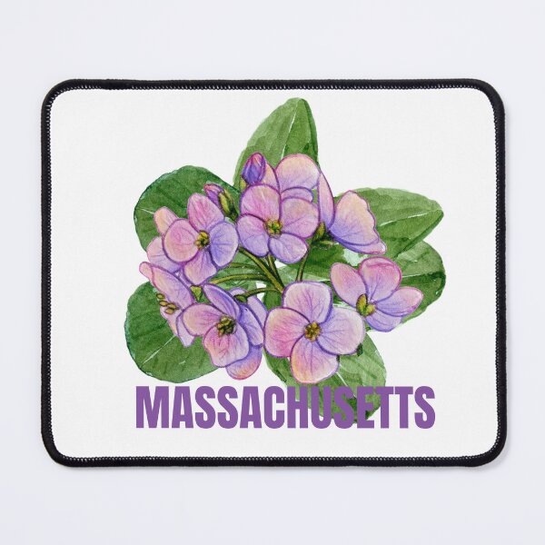 Item preview, Massachusetts Mayflower State Flower Classic T-shirt Sticker designed and sold by ThinkNature!.