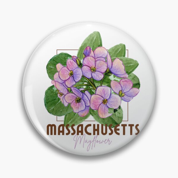 Item preview, Massachusetts Mayflower State Flower Classic T-shirt Sticker designed and sold by ThinkNature!.