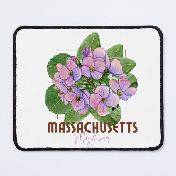 Item preview, Massachusetts Mayflower State Flower Classic T-shirt Sticker designed and sold by ThinkNature!.