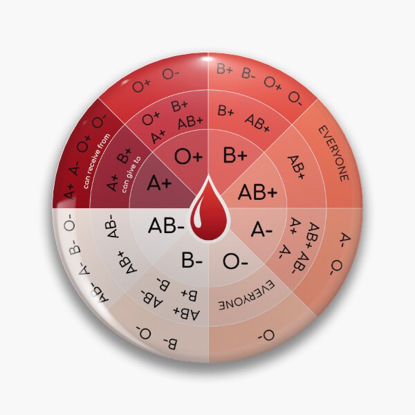 Item preview, Blood chart wheel designed and sold by ScienceCorner.