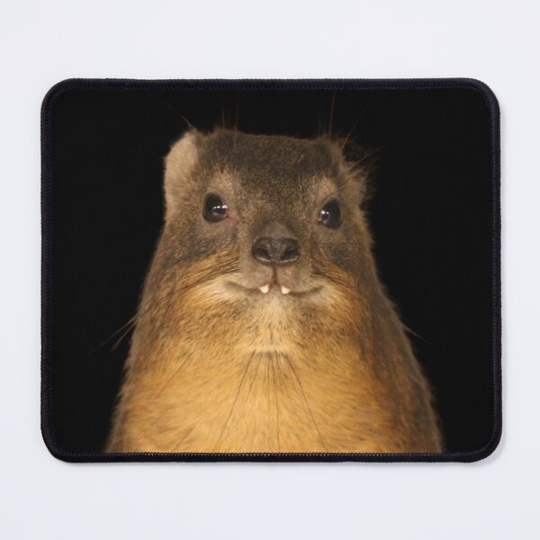 Item preview, Rock Hyrax Photo - Dassie | Cute Vampire Potato designed and sold by matchamoonshop.