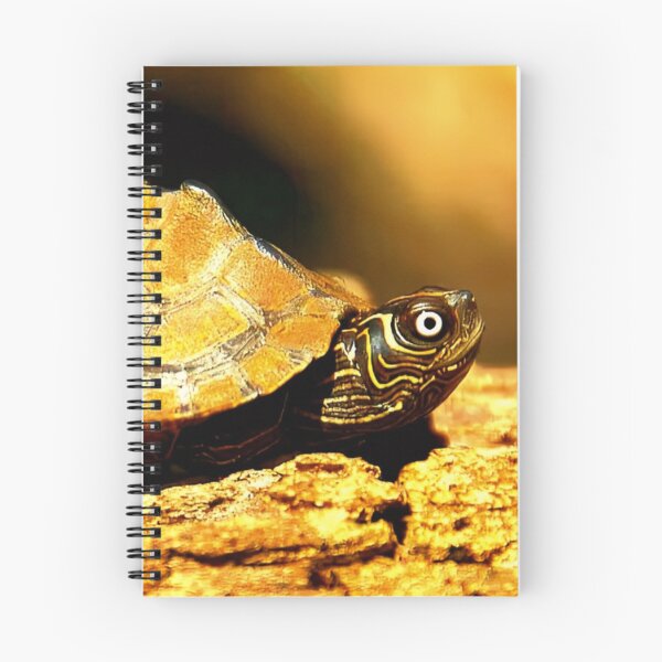 Item preview, Sunbathing Turtle  designed and sold by ontological.