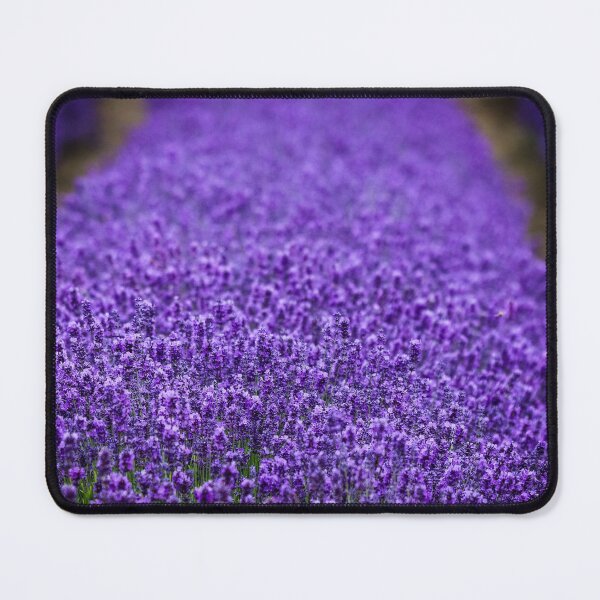 Item preview, Sequim Lavender Farm designed and sold by Michael Worley.