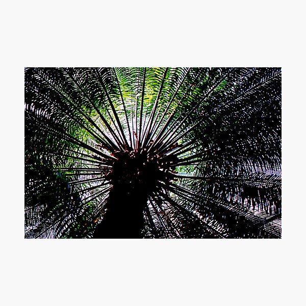 Item preview, The View Looking Up designed and sold by CanvasMan.