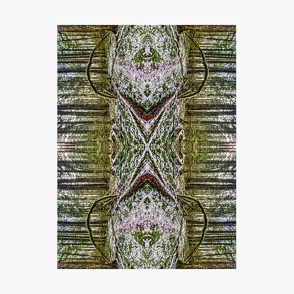 Item preview, Arrows, Mossy forest, alternate reality  designed and sold by aadventures.