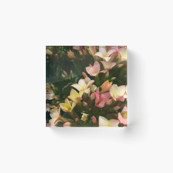Item preview, Tiny Flowers -- Shop designed and sold by AscendedTiefling.