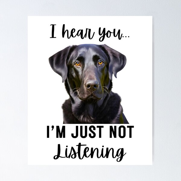 Item preview, Funny Black Labrador Retriever Design: I Hear You, I'm Just Not Listening designed and sold by Fredster1966.