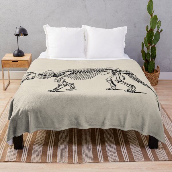 Item preview, Paleo Art: Triceratops Skeleton designed and sold by DazellsEmporium.