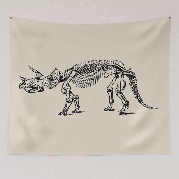 Item preview, Paleo Art: Triceratops Skeleton designed and sold by DazellsEmporium.