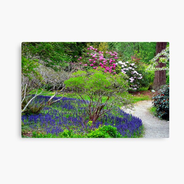 The Pathway to Heaven Canvas Print