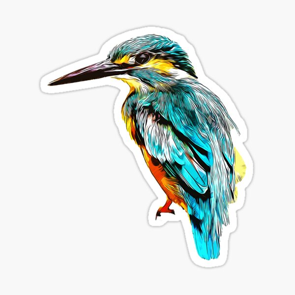 gxp eisvogel kingfisher vector art Sticker