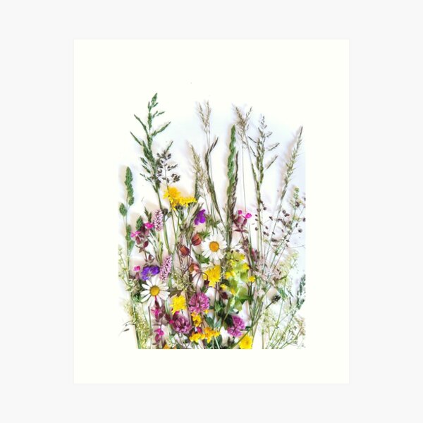 Item preview, Meadow flowers, alpine meadow designed and sold by Sandra Lack.