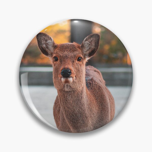 Item preview, Cute Japanese Shika Deer posing in Nara, Japan| 奈良の可愛い鹿 designed and sold by parenvlogs.