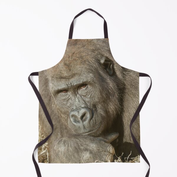 Item preview, Shufai the Gorilla Locking Eyes with You designed and sold by rawshutterbug.