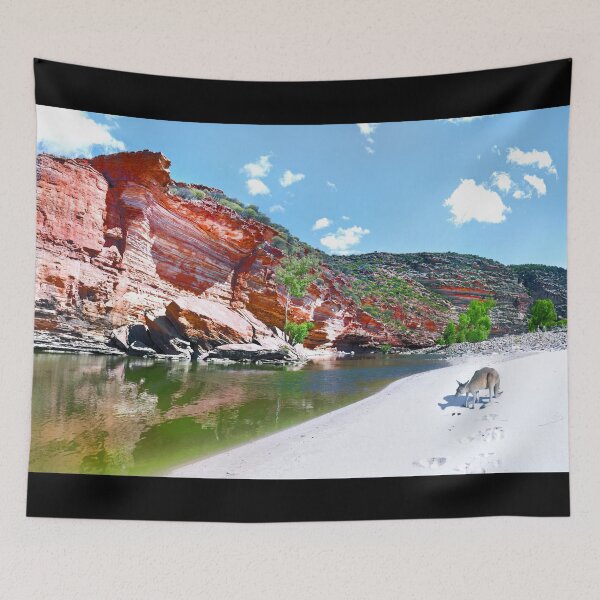 Item preview, Kalbarri Gorge - Western Australia National Park Kangaroo designed and sold by Adam Gormley.