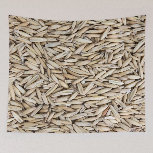 Item preview, Oats: A Nutritious Cereal Grain Rich in Fiber and Essential Nutrients designed and sold by urzga.