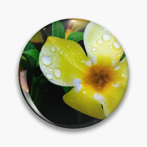 Item preview, Allamanda Cathartica Flower designed and sold by MercerImages.