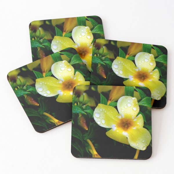 Item preview, Allamanda Cathartica Flower designed and sold by MercerImages.