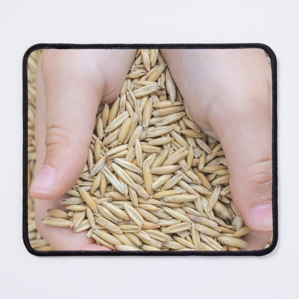 Item preview, A Key Source of Carbohydrates and Protein in the Human Diet designed and sold by urzga.