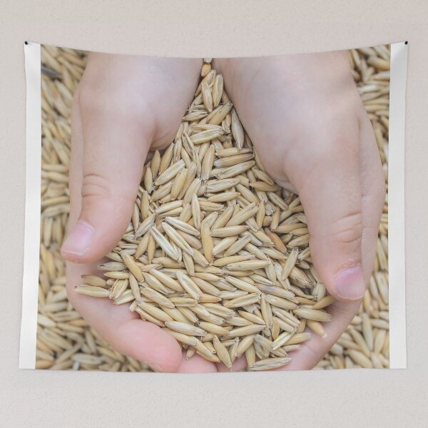Item preview, A Key Source of Carbohydrates and Protein in the Human Diet designed and sold by urzga.