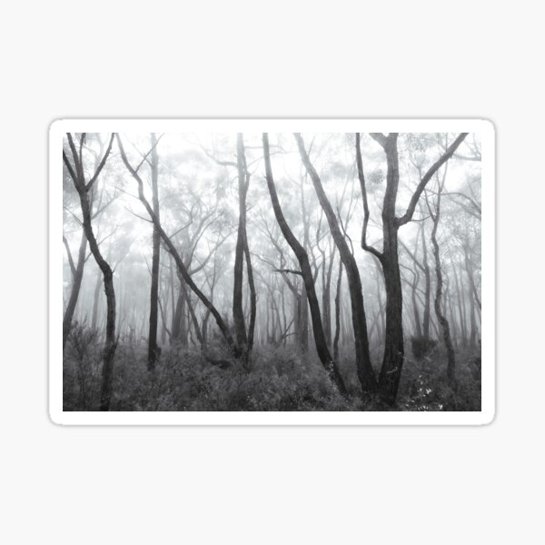 Item preview, Misty Australian Bush designed and sold by timmyvincent.