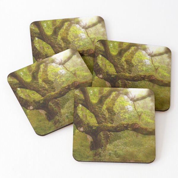 Item preview, Quinta da Regaleira tree. Sintra designed and sold by Tereza Pilar  Art.