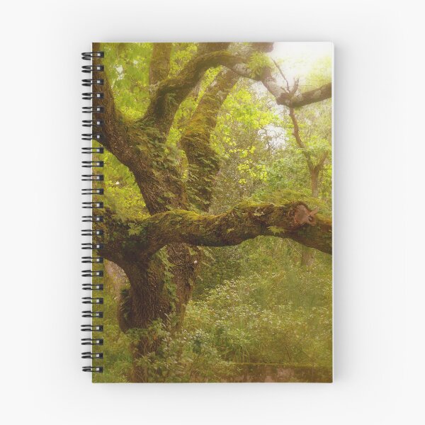 Item preview, Quinta da Regaleira tree. Sintra designed and sold by Tereza Pilar  Art.