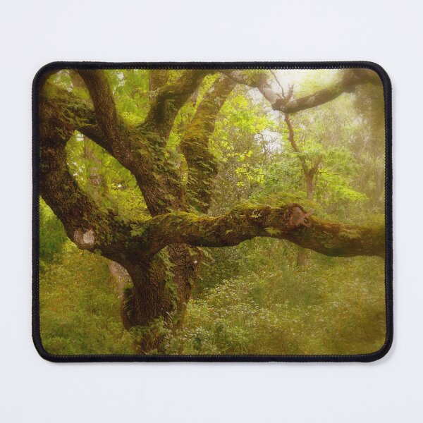 Item preview, Quinta da Regaleira tree. Sintra designed and sold by Tereza Pilar Art.