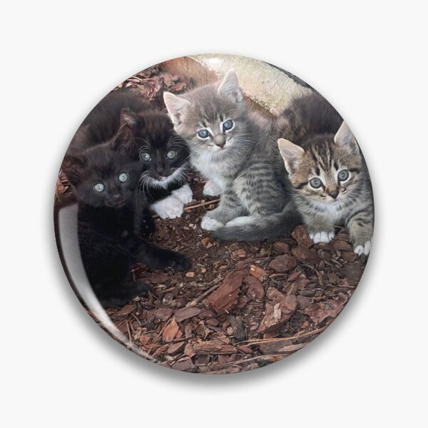 Item preview, Kitten Lover designed and sold by KjRyan.