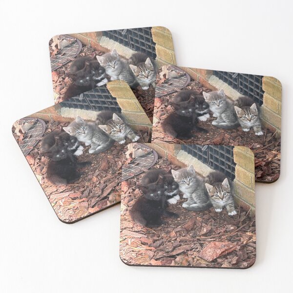 Item preview, Kitten Lover designed and sold by KjRyan.