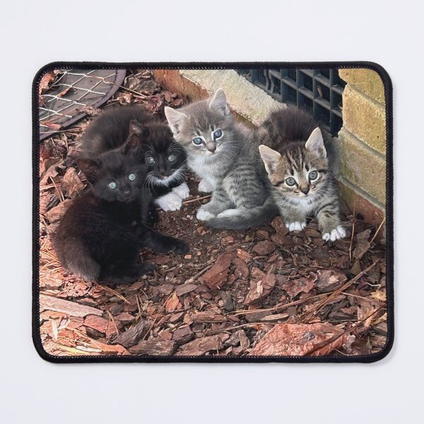 Item preview, Kitten Lover designed and sold by KjRyan.